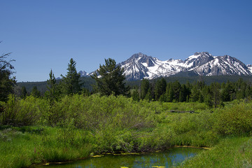Sawtooth Mountains from Nip and Tuck Road 1833