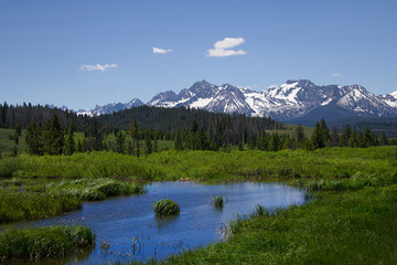 Sawtooth Mountains and Wildflowers 1916