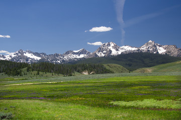 Sawtooth Mountains and Wildflowers 1927
