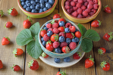 Salad of organic forest berries