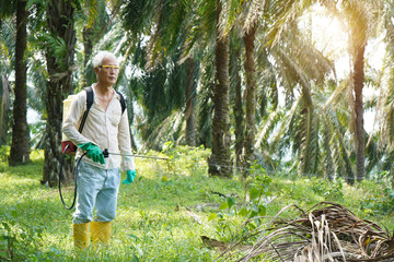 oil palm worker spraying herbicides at plantation