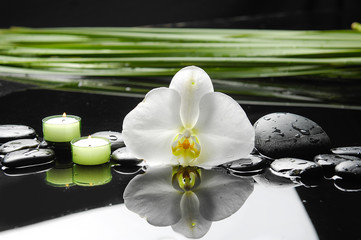 Spa still life with pebbles and orchid ,candle with long green leaf 