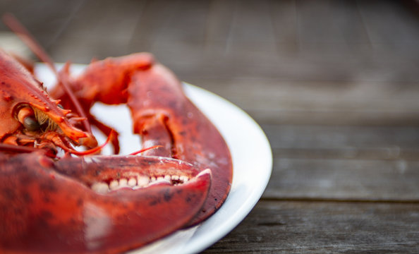 Maine Lobster Dinner