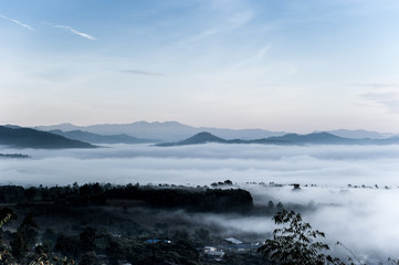 Fototapeta premium Fog above the forest in minimalist photography