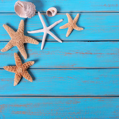 Several starfish old weathered blue beach wood deck background