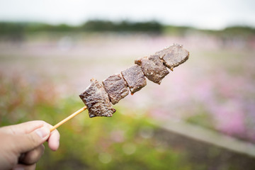 hand holding roast beef with wood stick.