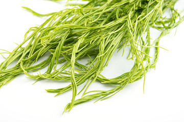 Climbing Wattle Vegetables on white background