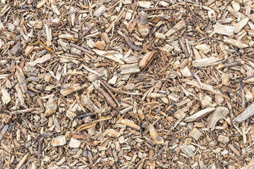 Wooden chips background. Brown wood shavings textured pattern