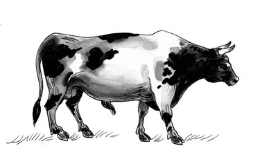 Ink black and white illustration of a bull