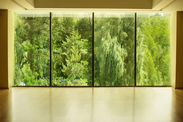 View of the forest or park from a panoramic window in the gym or indoors,