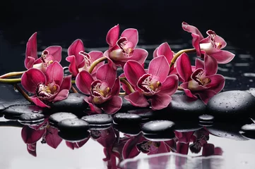  tak rode orchidee op zwarte stenen reflectie © Mee Ting