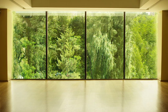 Fototapeta View of the forest or park from a panoramic window in the gym or indoors,