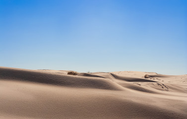 Fototapeta na wymiar Sand dunes - wide shot