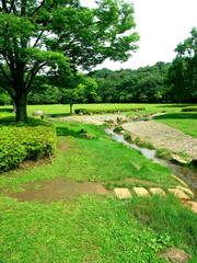 小川のある公園風景