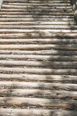 Alte Holzdielen im Wald als Holzweg