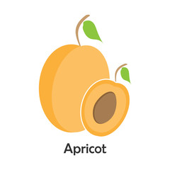 Apricot with slice in cartoon style, card with fruit for kid, preschool activity for children, vector illustration
