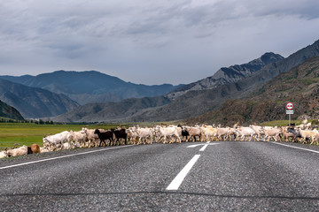 goat herd road mountains asphalt cloudy
