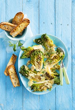 Grill cos lettuce with the mint dressing