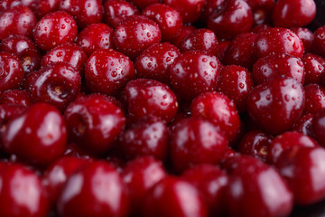 Close up of ripe sweet cherries pile. Large collection of fresh red cherries. Ripe cherries background. 