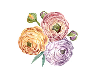 Watercolor floral composition