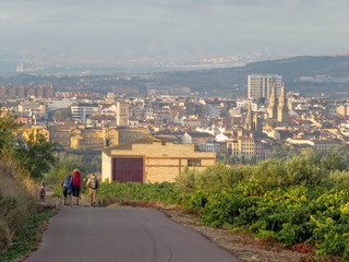 Camino pilgrims descend to Logrono, La Rioja, Spain