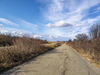 Empty asphalt country road vanishes through winter dry cereal fields