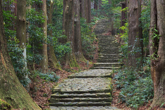 【世界遺産】熊野古道 大門坂