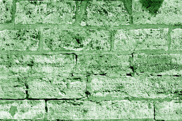 Ancient stone wall in green tone.