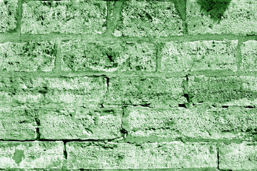 Obraz premium Ancient stone wall in green tone.
