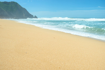 Beautiful beach and waves in the ocean