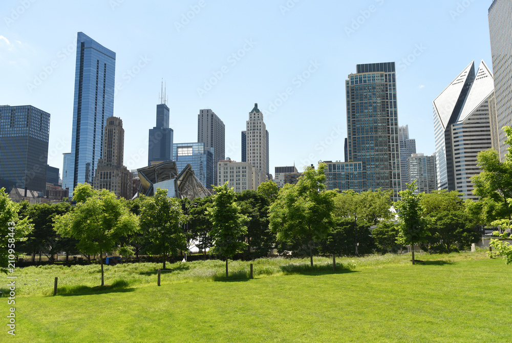 Wall mural downtown chicago view from grant park