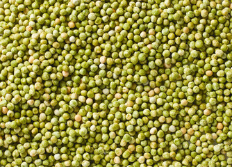 Grüne Schälerbsen Hintergrund