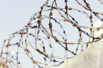 Fototapeta na wymiar Barbed wire and blue sky in the background. Close-up