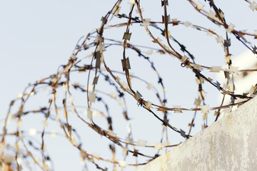 Barbed wire and blue sky in the background. Close-up