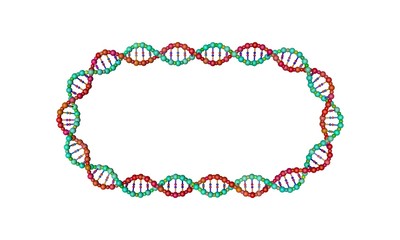 DNA strand frame. 3D rendering illustration.