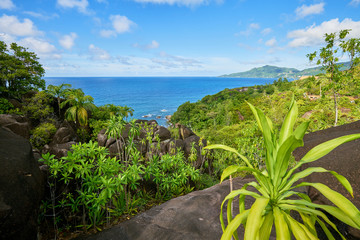 Anse major trail, hiking on nature trail of Mahe, Seychelles