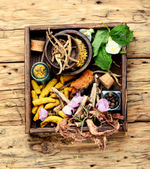 Natural medicine, herbs and plant