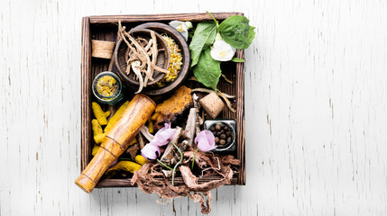 Natural medicine, herbs and plant