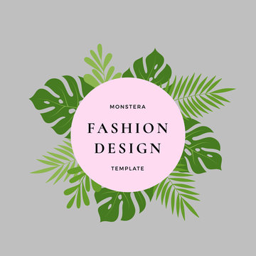 Monstera Palm Tropical Leaves Fashion Design Card. Abstract Green Foliage With Round Banner And Classic Typography. Pink Pastel Colors.