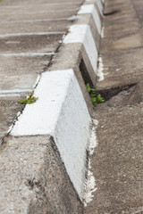 the largest dam in Penang, Malaysia.