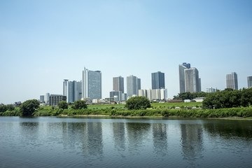 Fototapeta na wymiar 多摩川越しに望む武蔵小杉の高層ビル群