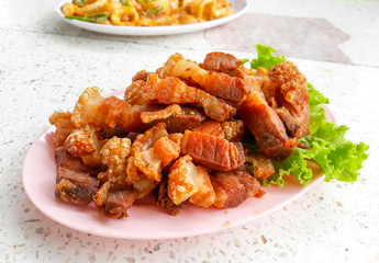 Crispy Pork on plate.