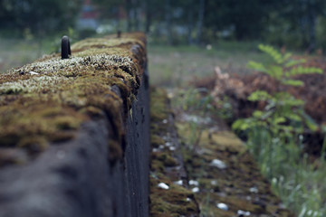 concrete walls covered with moss