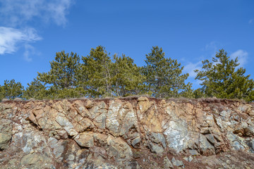 Part of mountain rock with green pine tree and clean blue sky