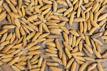 Organic Raw rice seed or Brown Paddy Seed Rice  background after harvest