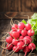 Bunch of fresh young radish vegetables
