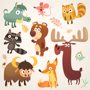 Cartoon forest animal characters. Vector illustration. Big set of cartoon forest animals illustration. Squirrel, mouse, raccoon, boar, fox, buffalo, bear, moose, bird. Isolated
