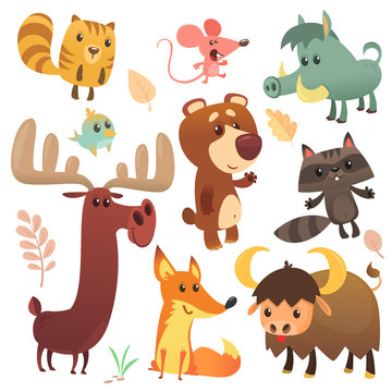Cartoon forest animals set. Vector illustrated. Squirrel, mouse, raccoon, boar, fox, buffalo, bear, moose, bird. Isolated