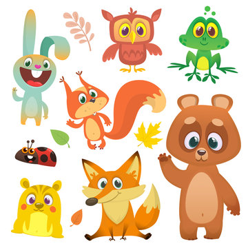 Forest animals set cartoon. Vector illustration. Big set of cartoon woodland animals illustration. Squirrel, owl,  bunny rabbit, frog, chipmunk, fox,  bear, ladybug. Isolated