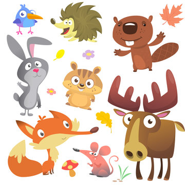 Woodland forest animals birds collection including bird, hedgehog, beaver, bunny rabbit, chipmunk, fox, mouse and moose elk. Autumn leaves and plants. Cartoon vector illustration